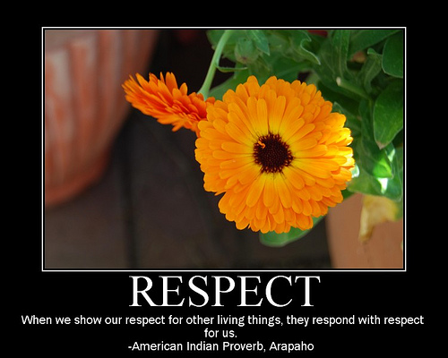 respect-poster respect-poster