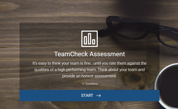 team effectiveness assessment